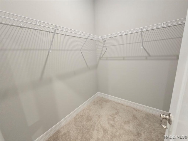 8 Calendula Ct, Homosassa, FL 34446 - walk in closet featuring carpet flooring