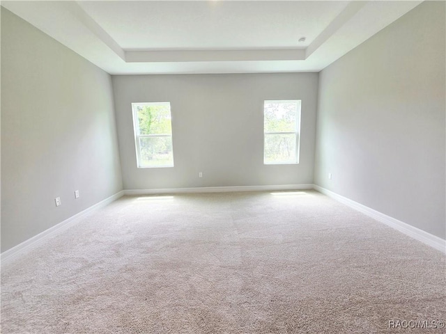 8 Calendula Ct, Homosassa, FL 34446 - unfurnished room featuring a raised ceiling, healthy amount of natural light, carpet floors, and baseboards