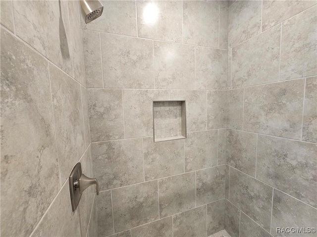 8 Calendula Ct, Homosassa, FL 34446 - bathroom view of tiled shower