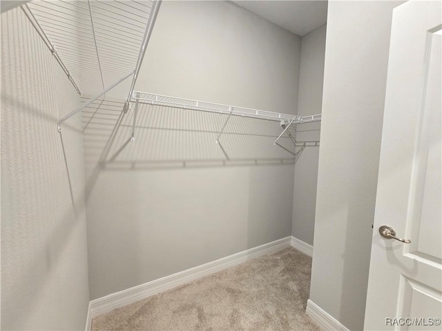8 Calendula Ct, Homosassa, FL 34446 - spacious closet featuring carpet flooring