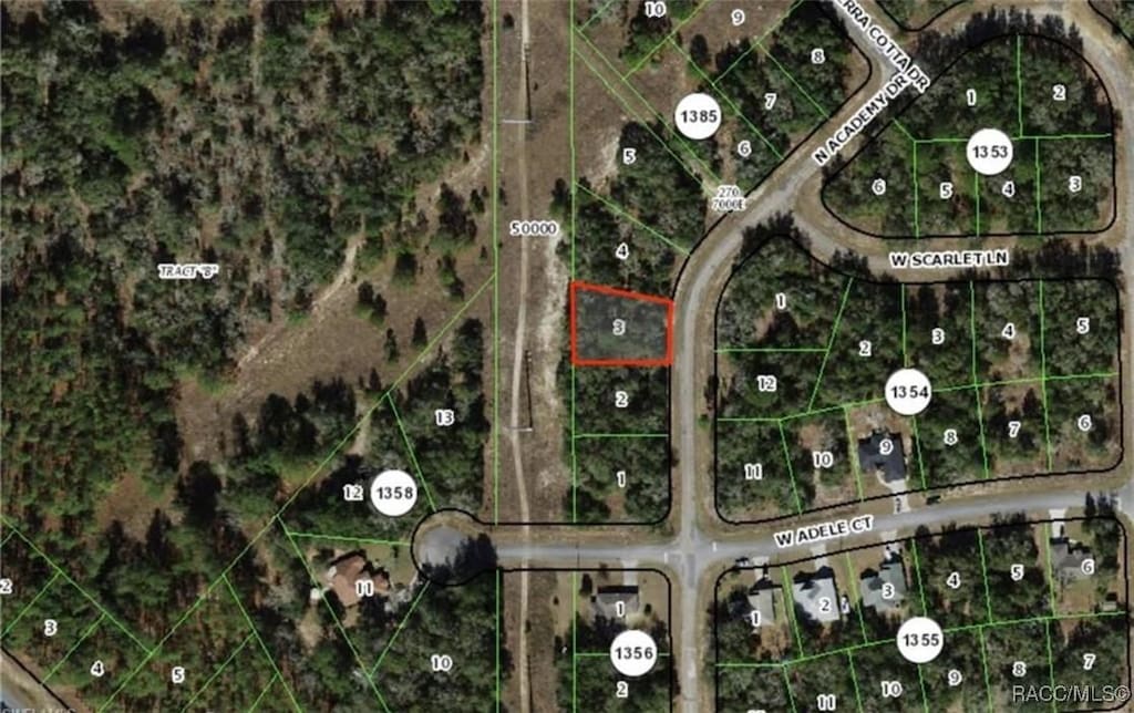 10868 N Academy Dr, Citrus Springs, FL 34434