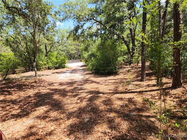 3775 S Osprey Pt, Inverness, FL 34452 - photo 4