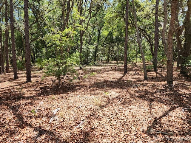 3775 S Osprey Pt, Inverness, FL 34452 - photo 6