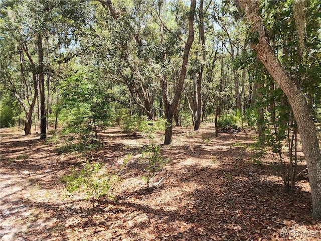 3775 S Osprey Pt, Inverness, FL 34452 - photo 5