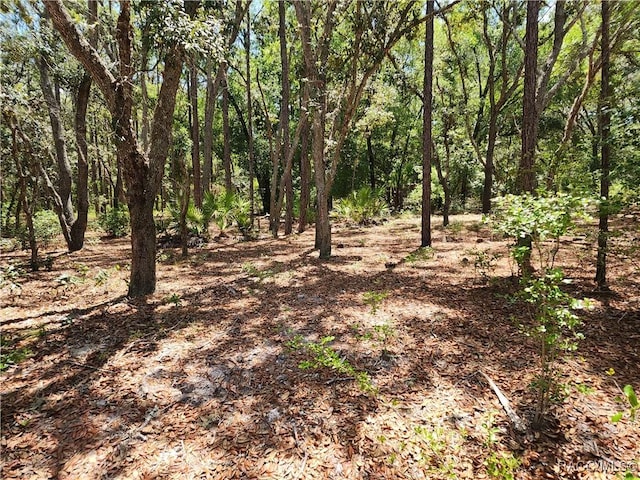 3775 S Osprey Pt, Inverness, FL 34452 - photo 3