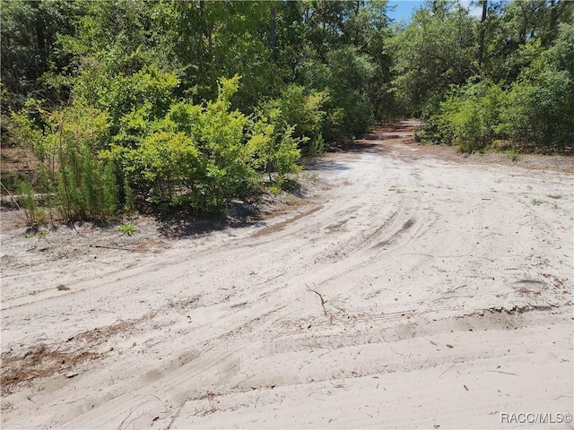 3775 S Osprey Pt, Inverness, FL 34452 - photo 9