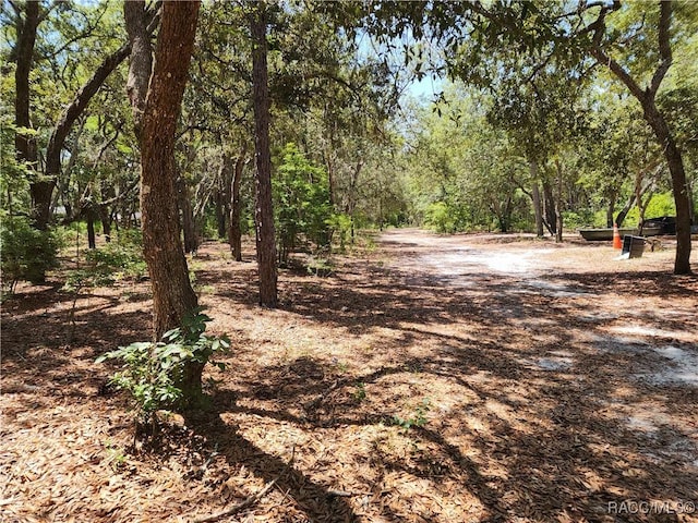 3775 S Osprey Pt, Inverness, FL 34452 - photo 1