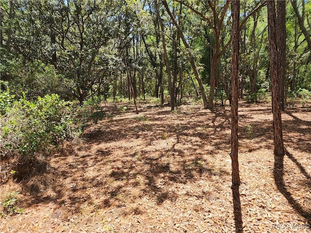 3775 S Osprey Pt, Inverness, FL 34452 - photo 7