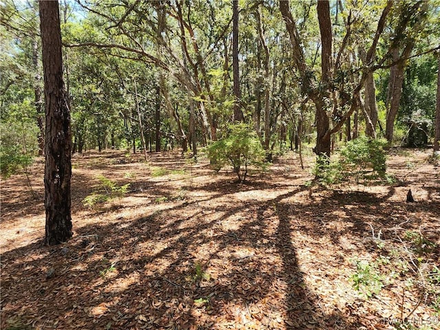 3775 S Osprey Pt, Inverness, FL 34452 - photo 2