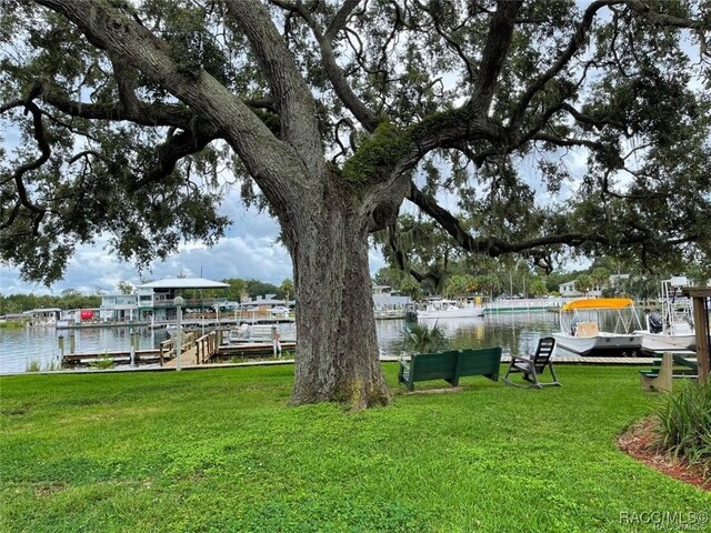 dock area featuring a yard and a water view