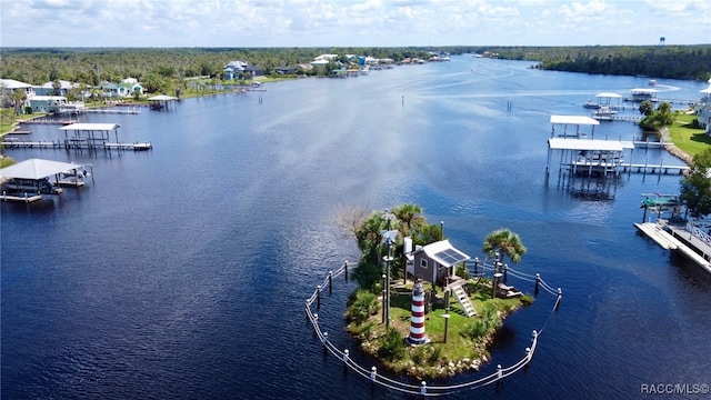 bird's eye view featuring a water view