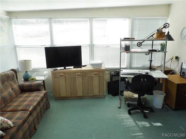 carpeted office featuring a wealth of natural light