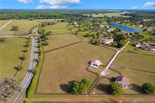 12380 SW 140th Loop, Dunnellon, FL 34432 - aerial view of property's location featuring a large body of water and rural landscape