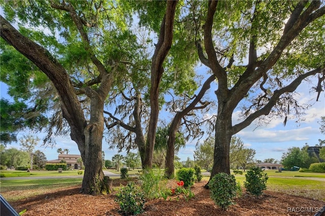 12380 SW 140th Loop, Dunnellon, FL 34432 - view of yard