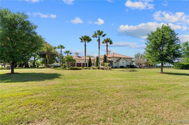 12380 SW 140th Loop, Dunnellon, FL 34432 - view of green lawn
