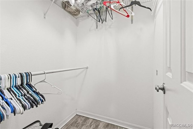 spacious closet featuring wood-type flooring