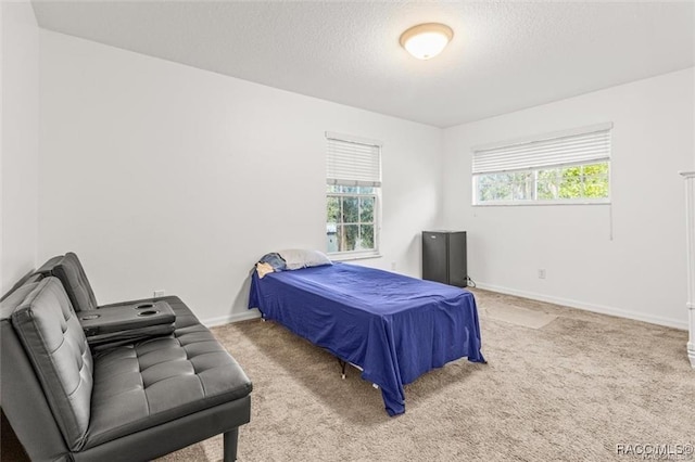 bedroom featuring carpet floors and a textured ceiling