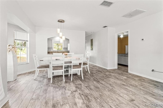 dining space with ceiling fan and wood-type flooring