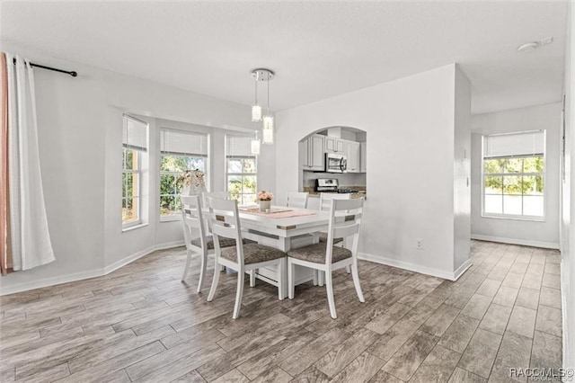 dining room with light wood-type flooring