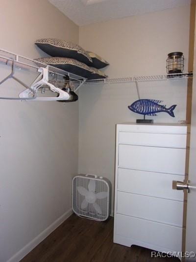 walk in closet featuring dark wood-type flooring