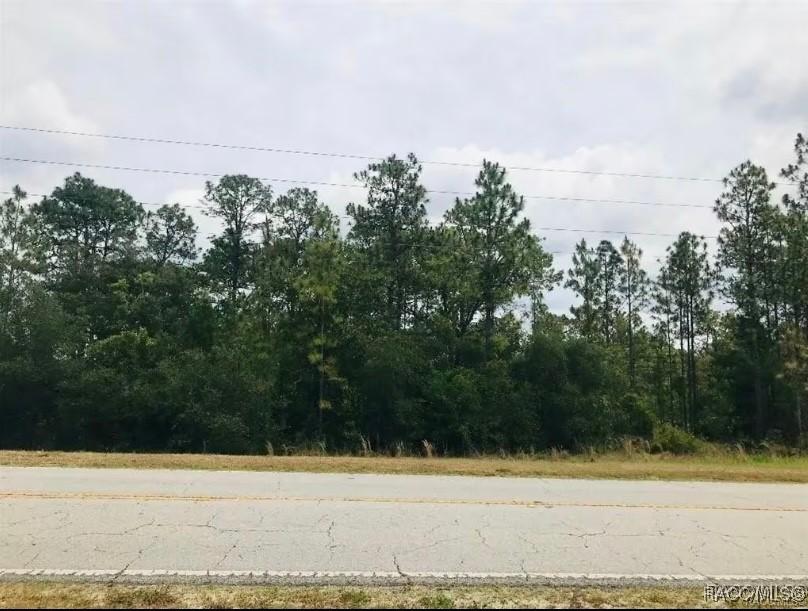 5929 W Dunklin St, Dunnellon, FL 34433 - photo 2