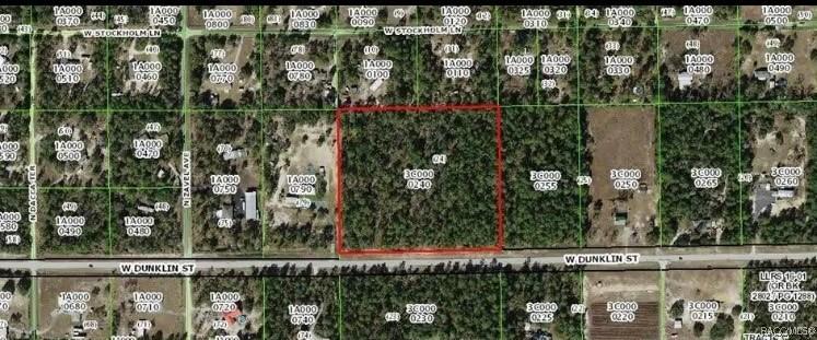 5929 W Dunklin St, Dunnellon, FL 34433 - photo 4