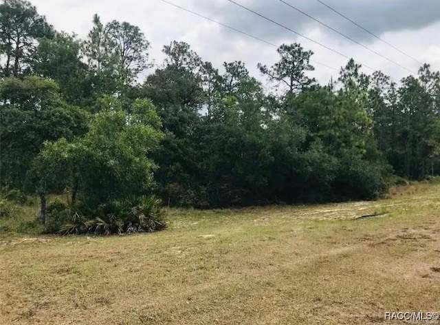 5929 W Dunklin St, Dunnellon, FL 34433 - photo 1