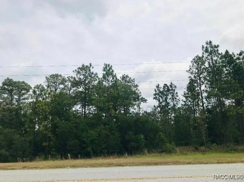 5929 W Dunklin St, Dunnellon, FL 34433 - photo 3