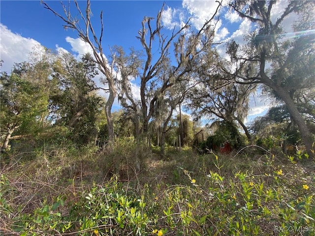 view of landscape