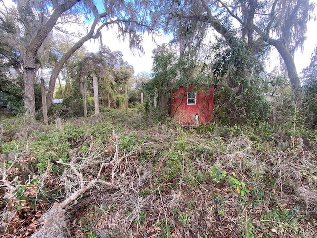 view of yard with an outdoor structure and a storage unit