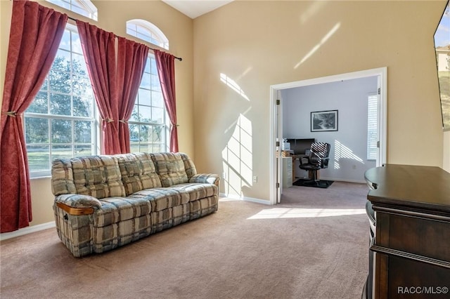 living room featuring light carpet