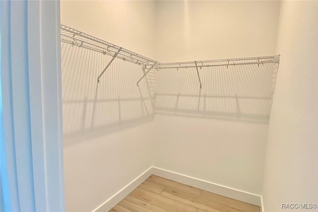 786 E Dunbar Ln, Hernando, FL 34442 - spacious closet featuring light wood-style floors