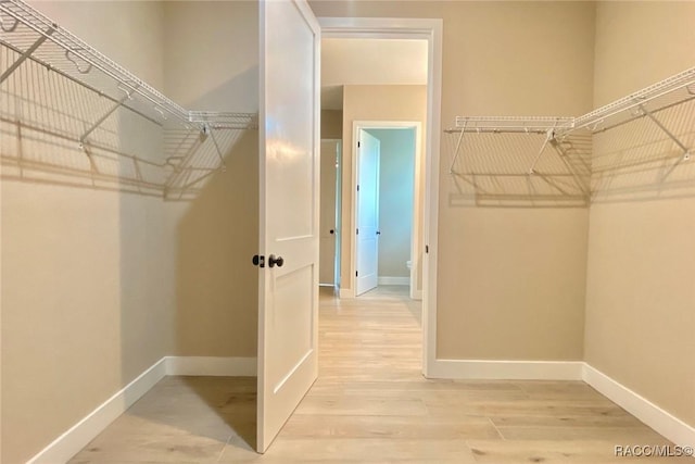 786 E Dunbar Ln, Hernando, FL 34442 - spacious closet with light wood-style flooring