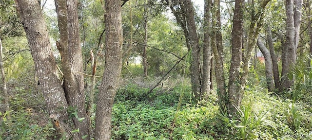 96 N Sheltering Oaks Dr, Inverness, FL 34453