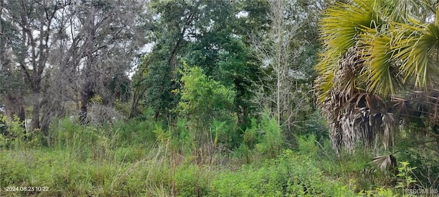 96 N Sheltering Oaks Dr, Inverness, FL 34453