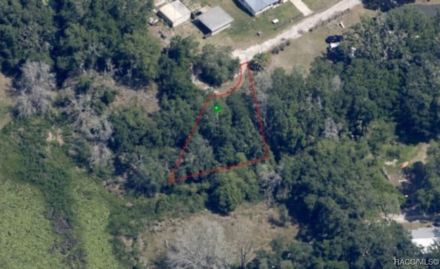96 N Sheltering Oaks Dr, Inverness, FL 34453