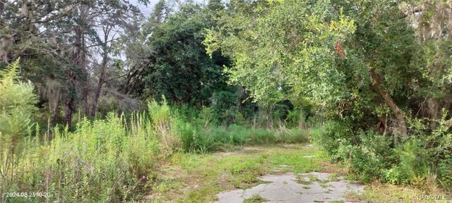 96 N Sheltering Oaks Dr, Inverness, FL 34453