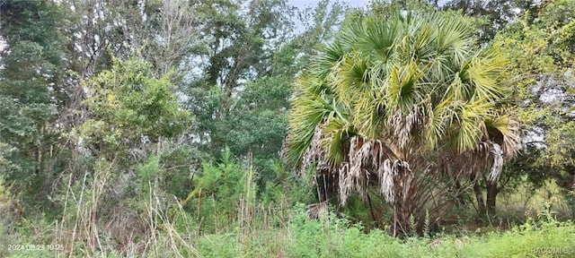 96 N Sheltering Oaks Dr, Inverness, FL 34453