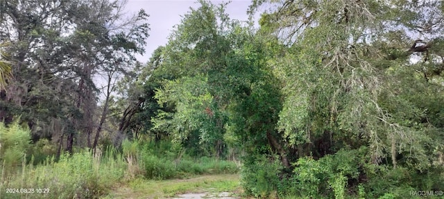 96 N Sheltering Oaks Dr, Inverness, FL 34453