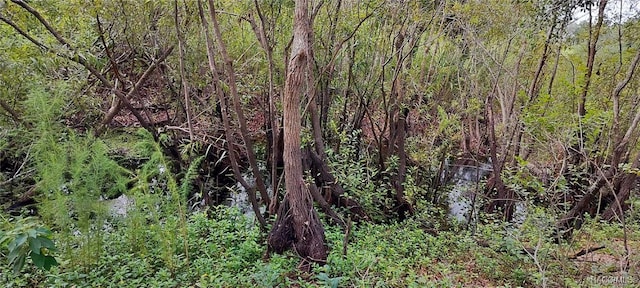 96 N Sheltering Oaks Dr, Inverness, FL 34453