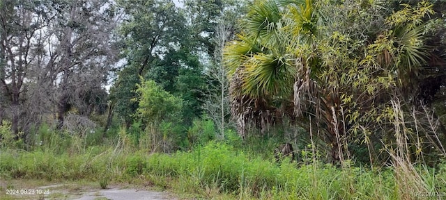 96 N Sheltering Oaks Dr, Inverness, FL 34453