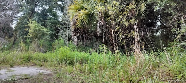 96 N Sheltering Oaks Dr, Inverness, FL 34453