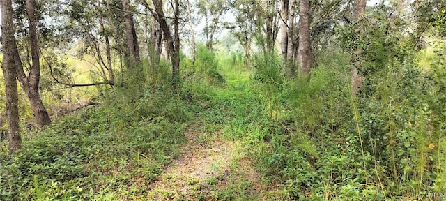 96 N Sheltering Oaks Dr, Inverness, FL 34453