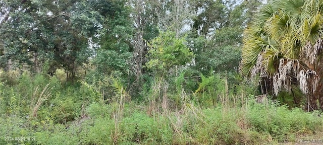 96 N Sheltering Oaks Dr, Inverness, FL 34453