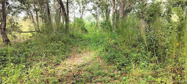 96 N Sheltering Oaks Dr, Inverness, FL 34453