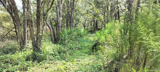 96 N Sheltering Oaks Dr, Inverness, FL 34453