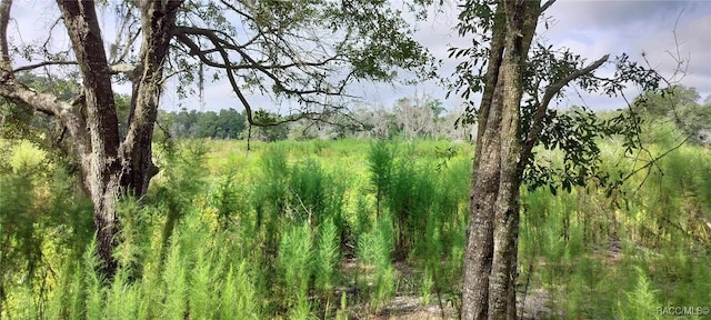 96 N Sheltering Oaks Dr, Inverness, FL 34453