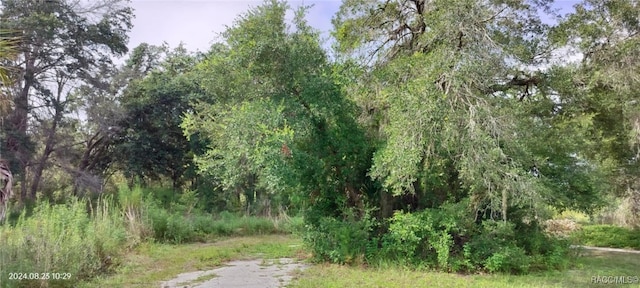 96 N Sheltering Oaks Dr, Inverness, FL 34453