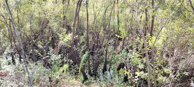 96 N Sheltering Oaks Dr, Inverness, FL 34453