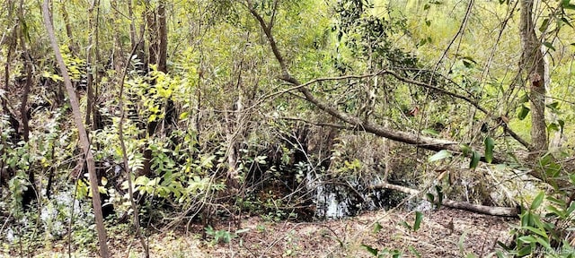 96 N Sheltering Oaks Dr, Inverness, FL 34453